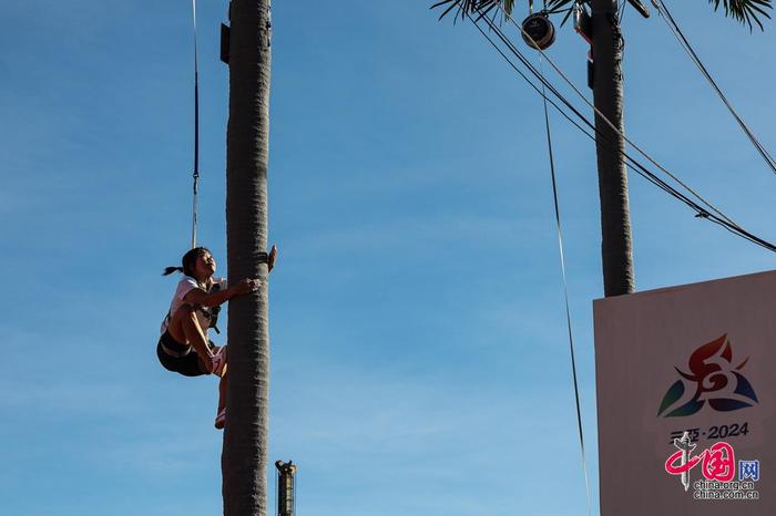 年美洲杯冠 年美洲杯冠