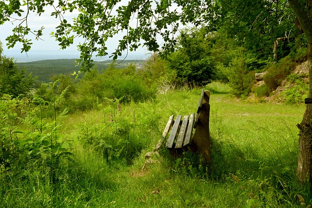挑战不仅仅 挑战不仅仅